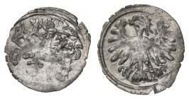Sigismund II Augustus, Denarius 1556, Vilnius