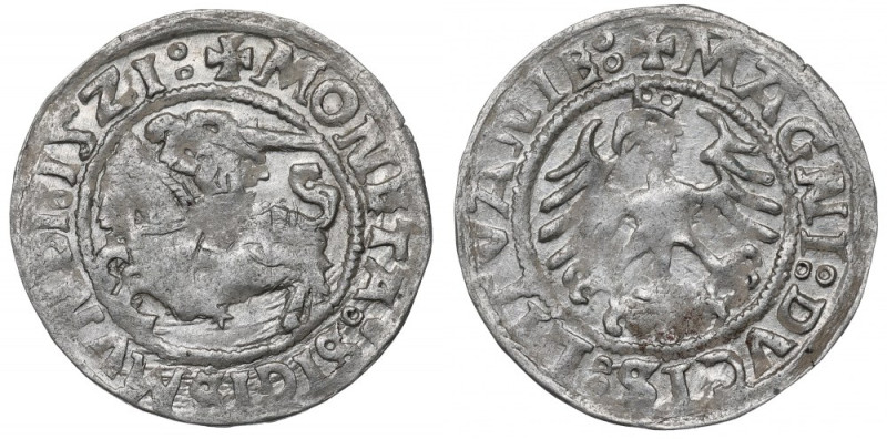 Sigismund I the Old, Halfgroat 1521, Vilnius Piękny, okołomenniczy egzemplarz. M...