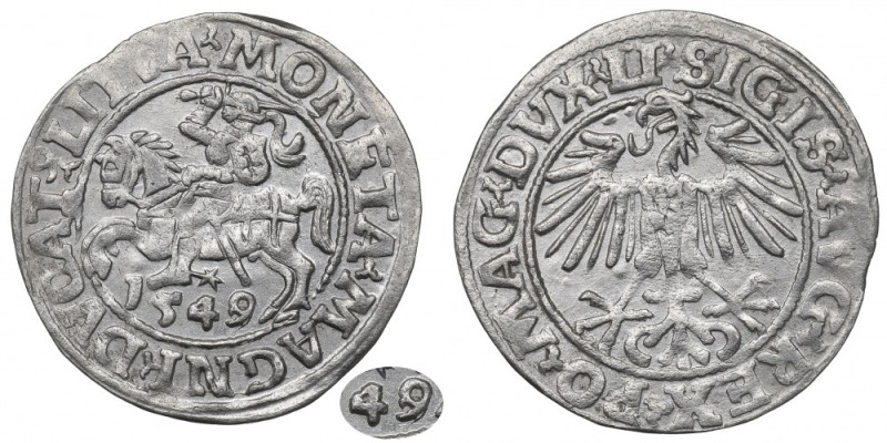 Sigismund II Augustus, Halfgroat 1547, Vilnius Bardzo ładnie zachowany egzemplar...