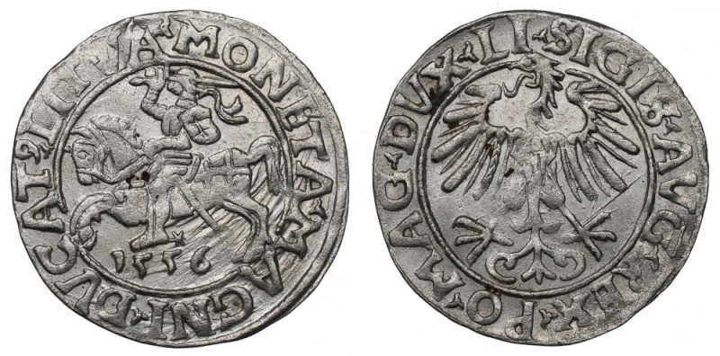 Sigismund II Augustus, Halfgroat 1556, Vilnius Ładny półgrosz z dobrze zachowany...