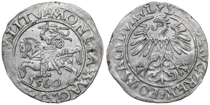 Sigismund II Augustus, Halfgroat 1560, Vilnius - L/LITV Piękny, okołomenniczy eg...