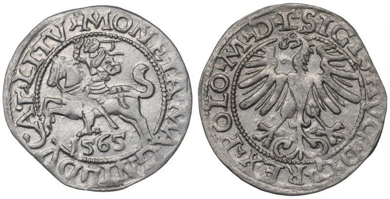 Sigismund II Augustus, Halfgroat 1565, Vilnius - L/LITV Bardzo ładny przykład te...