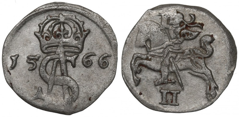 Sigismund II Augustus, 2 denarii 1566, Vilnius Ładny, dobrze wybity egzemplarz. ...