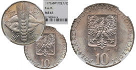 PRL, 10 złotych 1971 FAO - NGC MS66 2-MAX