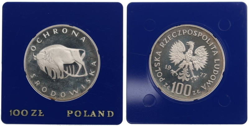 PRL, 100 złotych 1977 Ochrona środowiska - Żubr Ryski w tle. Patyna.