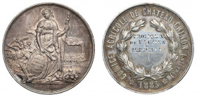 France, Medal Agriculture Society Chateau-Chinon