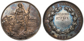 France, Medal Agriculture Society Chateau-Chinon