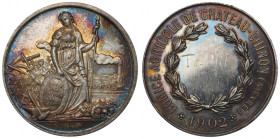 France, Medal Agriculture Society Chateau-Chinon