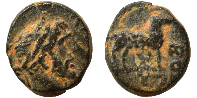 ARABIA. Bostra. Antoninus Pius, 138-161. Ae (bronze, 1.54 g, 10 mm). Laureate he...