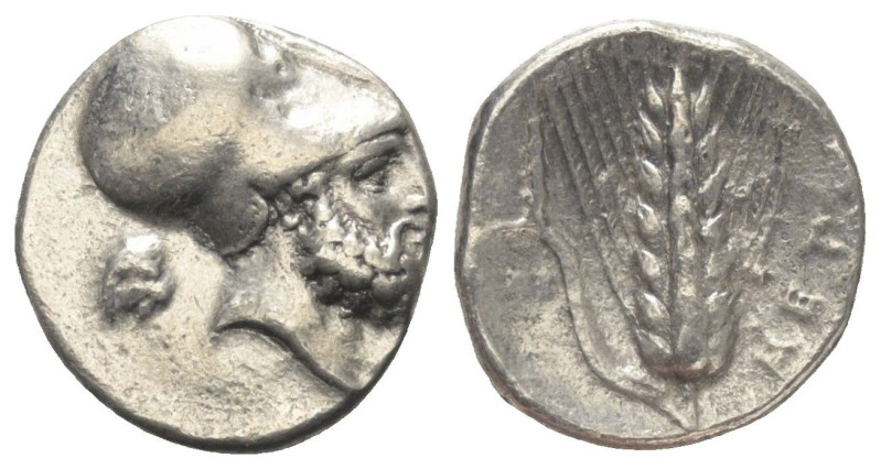 Lukanien. Metapont.

 Nomos (Silber). Ca. 340 - 330 v. Chr.
Vs: Kopf des Leuk...