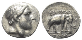 Seleukidisches Königreich. Antiochos III. (223 - 187 v. Chr.).

 Drachme (Silber). Um 212 v. Chr. Apameia am Orontes (?).
Vs: Kopf des Antiochos II...