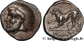 TAURIC CHERSONESE - PANTICAPEUM
Type : Hemisicle 
Date : c. 380-370 AC. 
Mint name / Town : Panticapée 
Metal : silver 
Diameter : 13,5  mm
Orientatio...