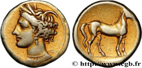 ZEUGITANA - CARTHAGE
Type : Statère 
Date : c. 310-290 AC. 
Mint name / Town : Carthage, Zeugitane 
Metal : electrum 
Millesimal fineness : 550  ‰
Dia...