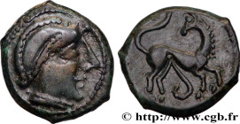 PICTONES / CENTER WEST, Unspecified
Type : Bronze au cheval retourné 
Date : c. 80-60 AC. 
Metal : bronze 
Diameter : 17,5  mm
Orientation dies : 10  ...