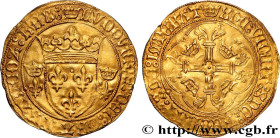 LOUIS XI THE "PRUDENT"
Type : Écu d'or à la couronne ou écu neuf 
Date : 31/12/1461 
Mint name / Town : Saint-Lô 
Metal : gold 
Millesimal fineness : ...