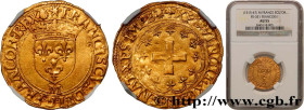 FRANCIS I
Type : Écu d'or à la croisette, 1er type 
Date : 19/03/1541 
Date : n.d. 
Mint name / Town : Toulouse 
Quantity minted : 58200 
Metal : gold...