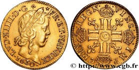 LOUIS XIV "THE SUN KING"
Type : Louis d’or aux huit L, portrait à la mèche longue 
Date : 1650 
Mint name / Town : Saint-Lô 
Quantity minted : 1024,5 ...