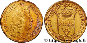 LOUIS XIV "THE SUN KING"
Type : Louis d'or à l'écu 
Date : 1690 
Mint name / Town : Bayonne 
Metal : gold 
Millesimal fineness : 917  ‰
Diameter : 24 ...