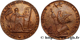FRENCH CONSTITUTION - NATIONAL ASSEMBLY
Type : Médaille de Palloy, Constitution en l’honneur des Jacobins 
Date : (1791/1792) 
Metal : bronze 
Diamete...