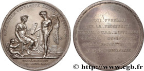 ITALY - SUBALPINE GAUL
Type : Médaille, Constitution de la République italienne à Lyon 
Date : An X (1801-1802) 
Quantity minted : --- 
Metal : silver...