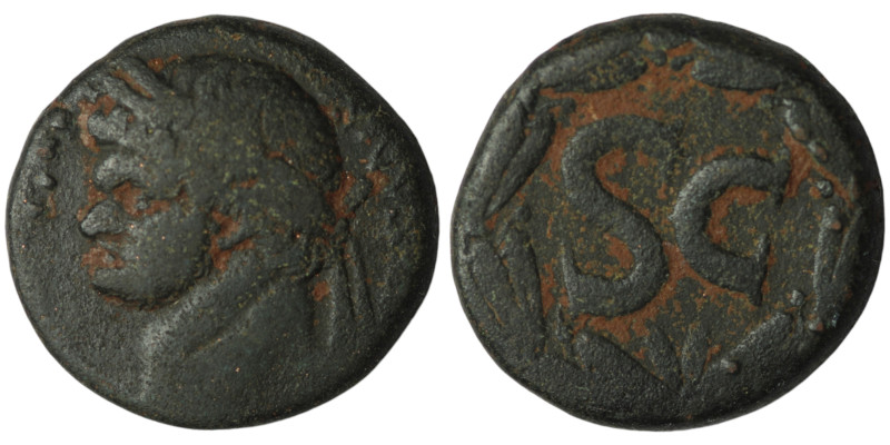 SYRIA, Seleucis and Pieria. Antioch. Domitian (AD 81-96)
AE Bronze (24mm, 13,86g...