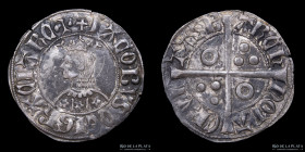 Aragon. Jaime II. 1 Croat ND1291-1327 Barcelona. Cal 287