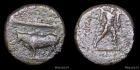 Poseidonia, Lucania (350-290BC) AE Unit