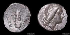 Metapontum, Lucania (330-290BC) AR Stater