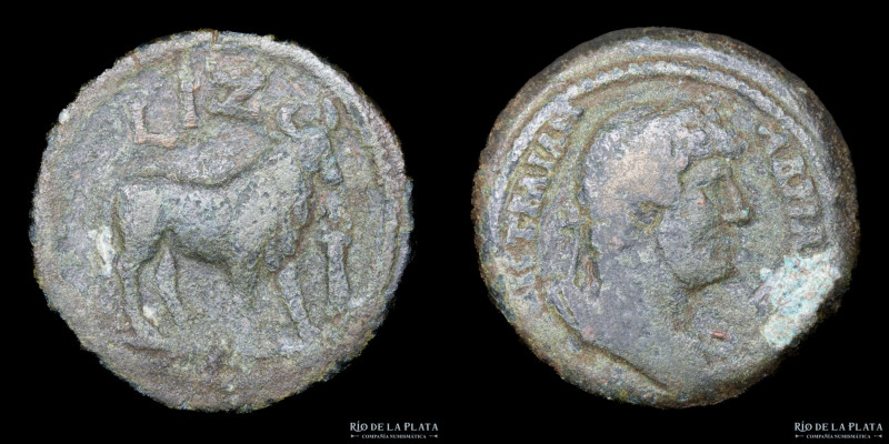 Alexandria, Egypt. Hadrian (117-138AD) Diobol. Struck year 17 (132/3AD). Bronze;...