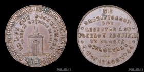 Peru. 1891. Caidos del 13 y 15 Enero de 1881. Concejo Provincial de Lima.