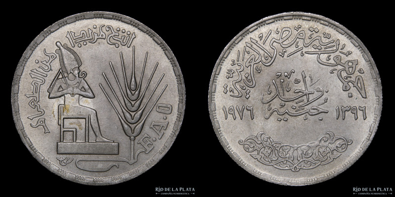 Egipto. 1 Pound 1976. FAO. Plata 720; 35mm; 15.18g. Solo 5.0000 acuñadas. KM453 ...
