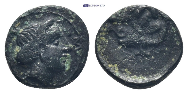 MYSIA. Lampsakos.(4th-3rd centuries BC).Ae. (11mm, 1.2 g)Obv : ΛΑΜ. Laureate hea...