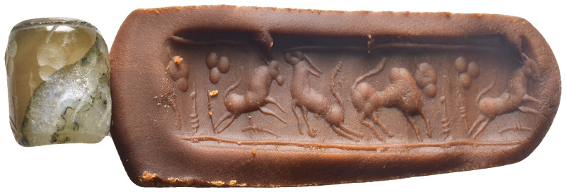 Cylinder Seal. (22mm, 13.96 g)