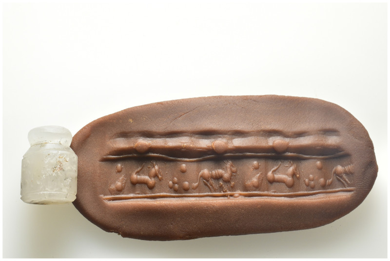 Cylinder Seal. (21mm, 7.86 g)