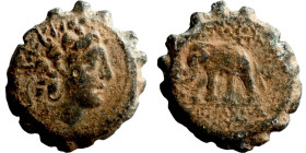 Antiochos VI Dionysos, 144-142 BC. Ae Serrate Antioch on the Orontes. Radiate and diademed head right. Rev. ΒΑΣΙΛΕΩΣ ΑΝΤΙΟΧΟΥ / ΕΠΙΦΑΝΟΥΣ ΔΙΟΝΥΣΟΥ Ele...