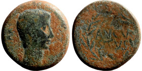 Augustus. (27 BC - 14 AD). Æ Bronze. Syria. Antioch. Obv: laureate bust of Augustus right. Rev: "AVGVSTVS" in wreath.

24mm 9,73g