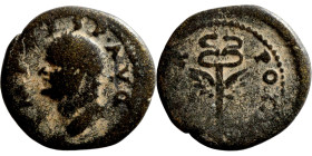 Quadrans - Domitian DOMIT COS II Emperor Vespasian (Titus Flavius Vespasianus) (69-79)

16mm 2,49g

Artificial sand patina