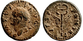 Quadrans - Domitian DOMIT COS II Emperor Vespasian (Titus Flavius Vespasianus) (69-79)

15mm 2,00g

Artificial sand patina