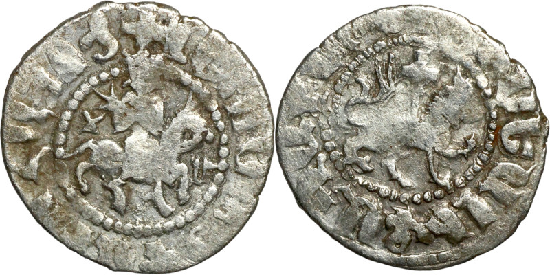 Medieval coin

19mm 1,74g