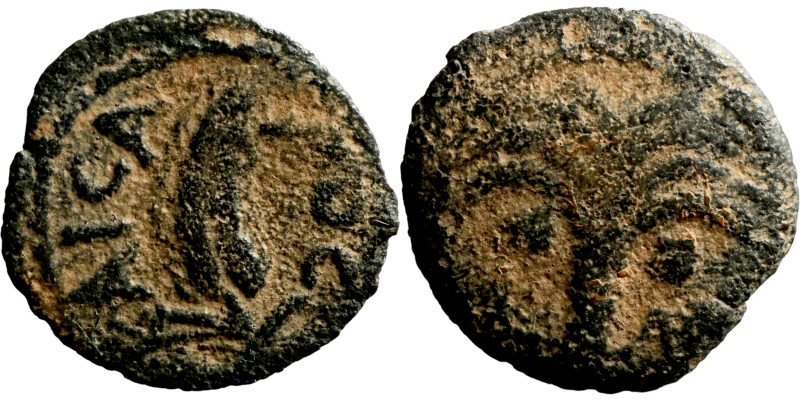 Judaean coin

15mm 1,46g

Artificial sand patina