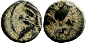 Antik coin bronze

9mm 1,32g

Artificial sand patina