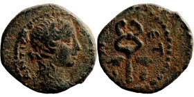 Roman Imperial coin

13mm 1,59g