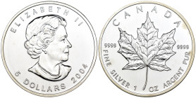 Canada - 5 Dollari 2004 - Ag