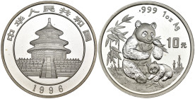 Cina - 10 Yuan 1996 - Ag - KM# 892