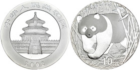 Cina - 10 Yuan 2002 - Ag - KM# 1365