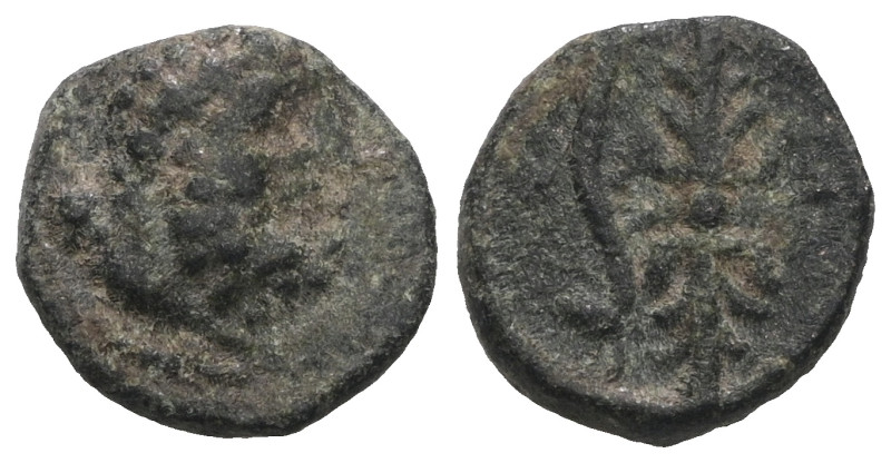 Pisidia, Selge; 200-100 BC, AE. Weight 1,89 gr - Diameter 11 mm.