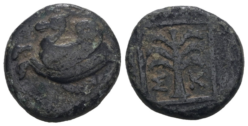 TROAS.(4th Century BC).AE.Skepsis. Weight 3,92 gr - Diameter 14 mm.