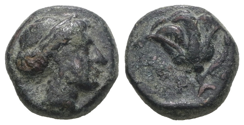 Rhodos. Rhodes. AE 10. 350-300 a.C. Weight 1,71 gr - Diameter 9 mm.