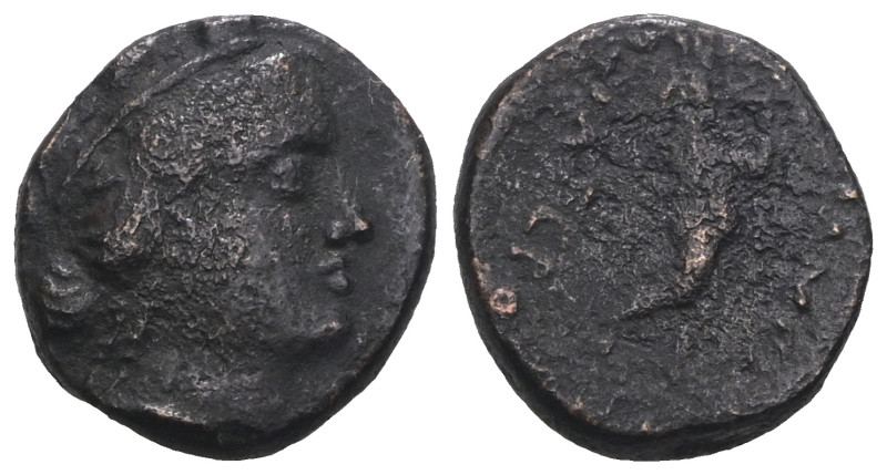 Phrygia, Apameia, AE, Circa 88-40 BC. Weight 3,15 gr - Diameter 13 mm.