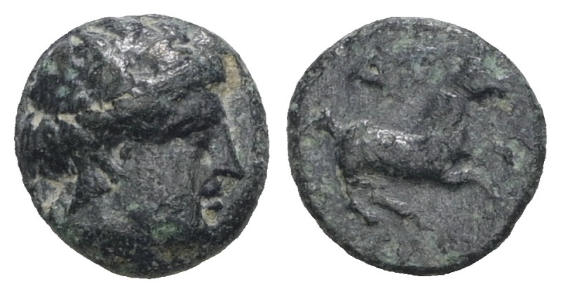 Greek uncertain AE. Weight 0,68 gr - Diameter 6 mm.